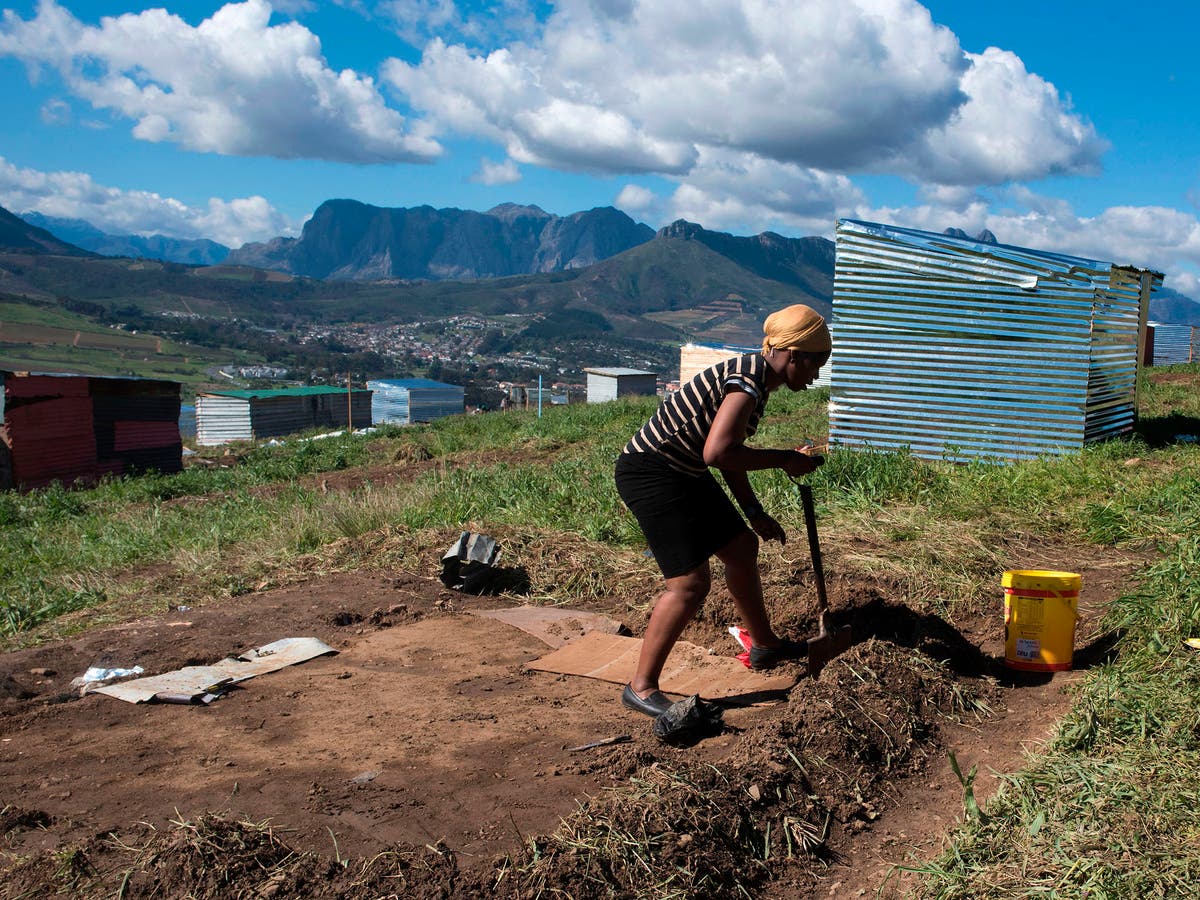 In South Africa, vineyards are the battle ground in a tense racial dispute