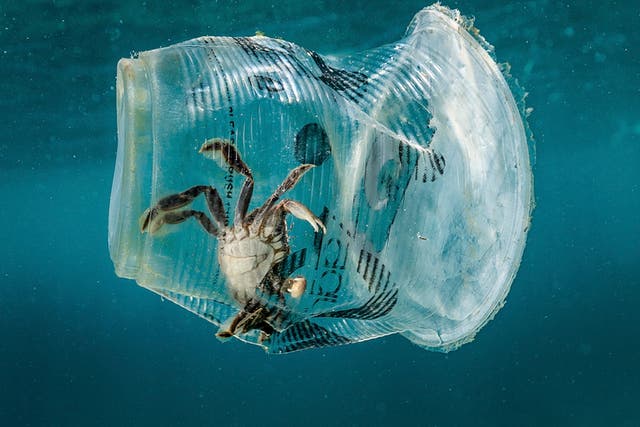 Plastic waste in the oceans could outweigh fish by 2050