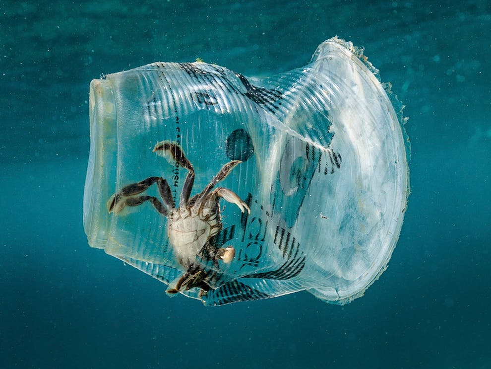 20 Pledges for 2020 I will avoid singleuse plastics The Independent