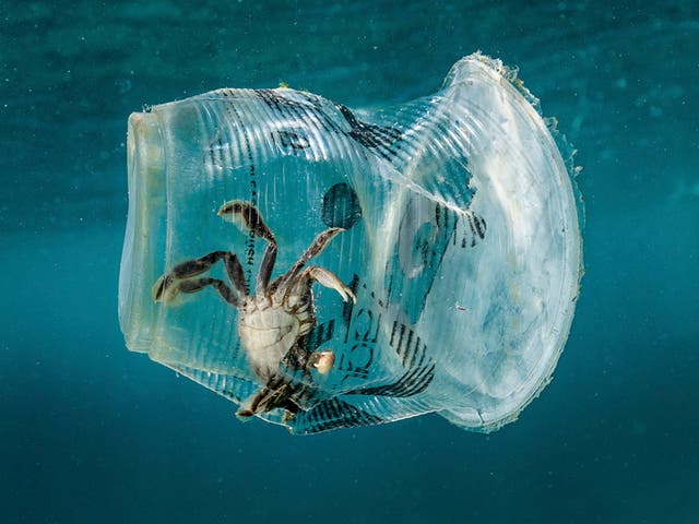 Plastic waste in the oceans could outweigh fish by 2050