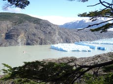 Fresh iceberg ruptures in Patagonia raise alarm about global warming