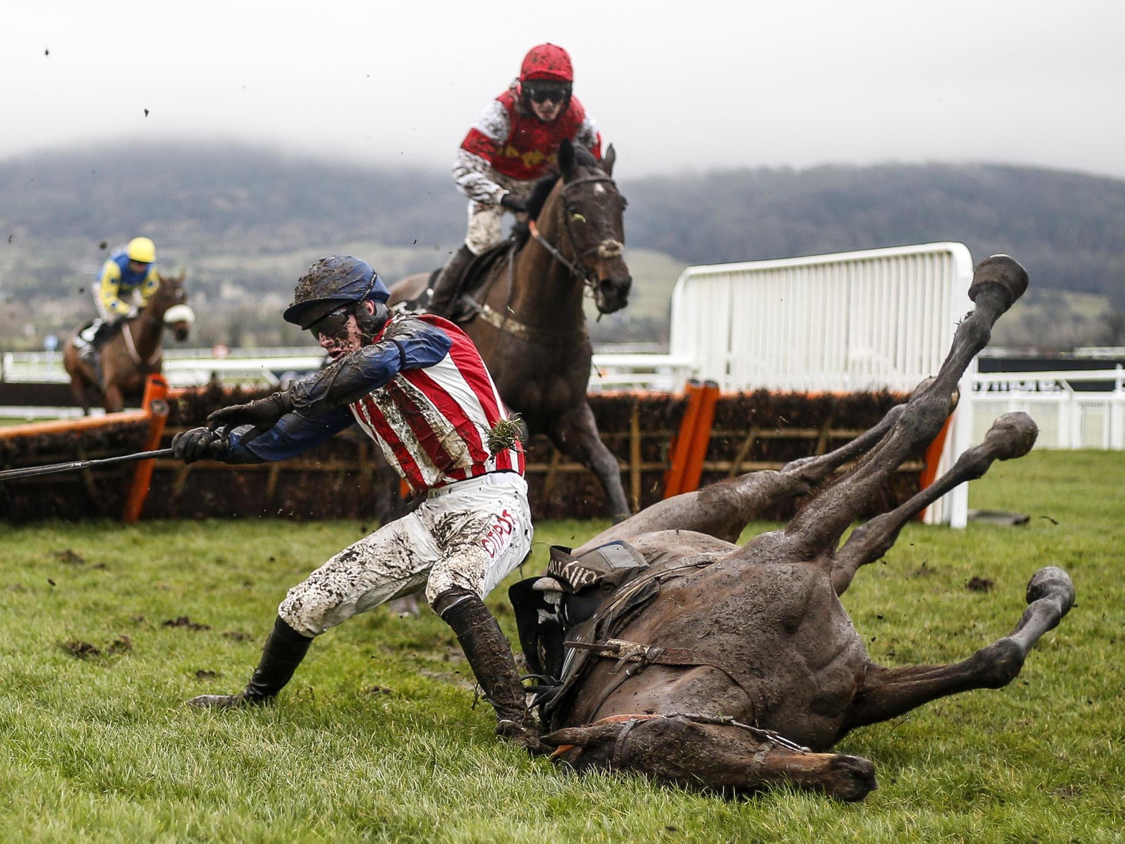 Cheltenham has a high number of fatalities each year