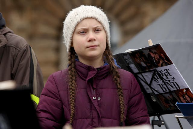 Teenage Swedish activist Greta Thunberg protests against global warming at a Fridays for Future demonstration last week in Hamburg, Germany