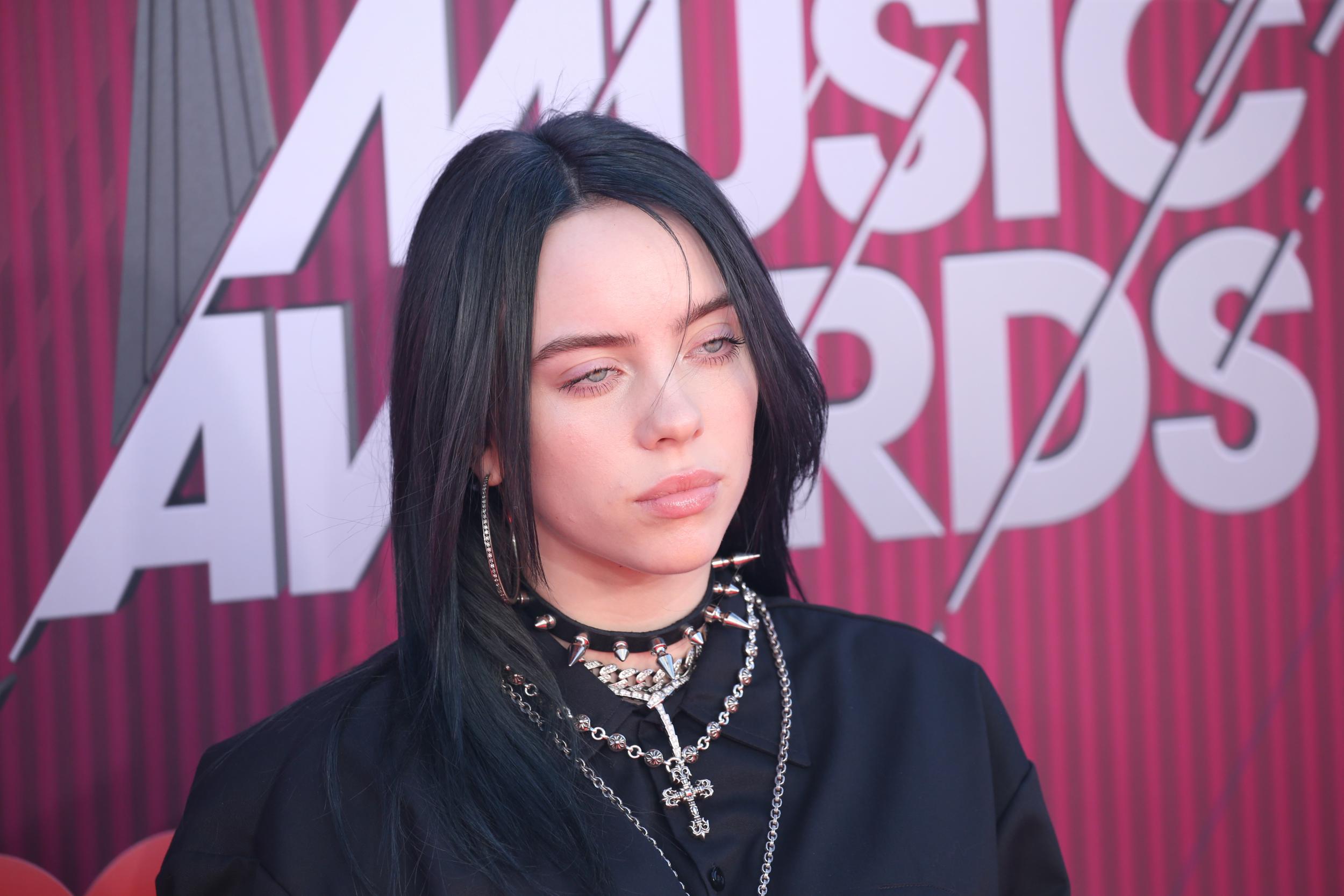 Blue Lipstick Porn Goblin - Billie Eilish interview: 'I want to be able to mourn for ...