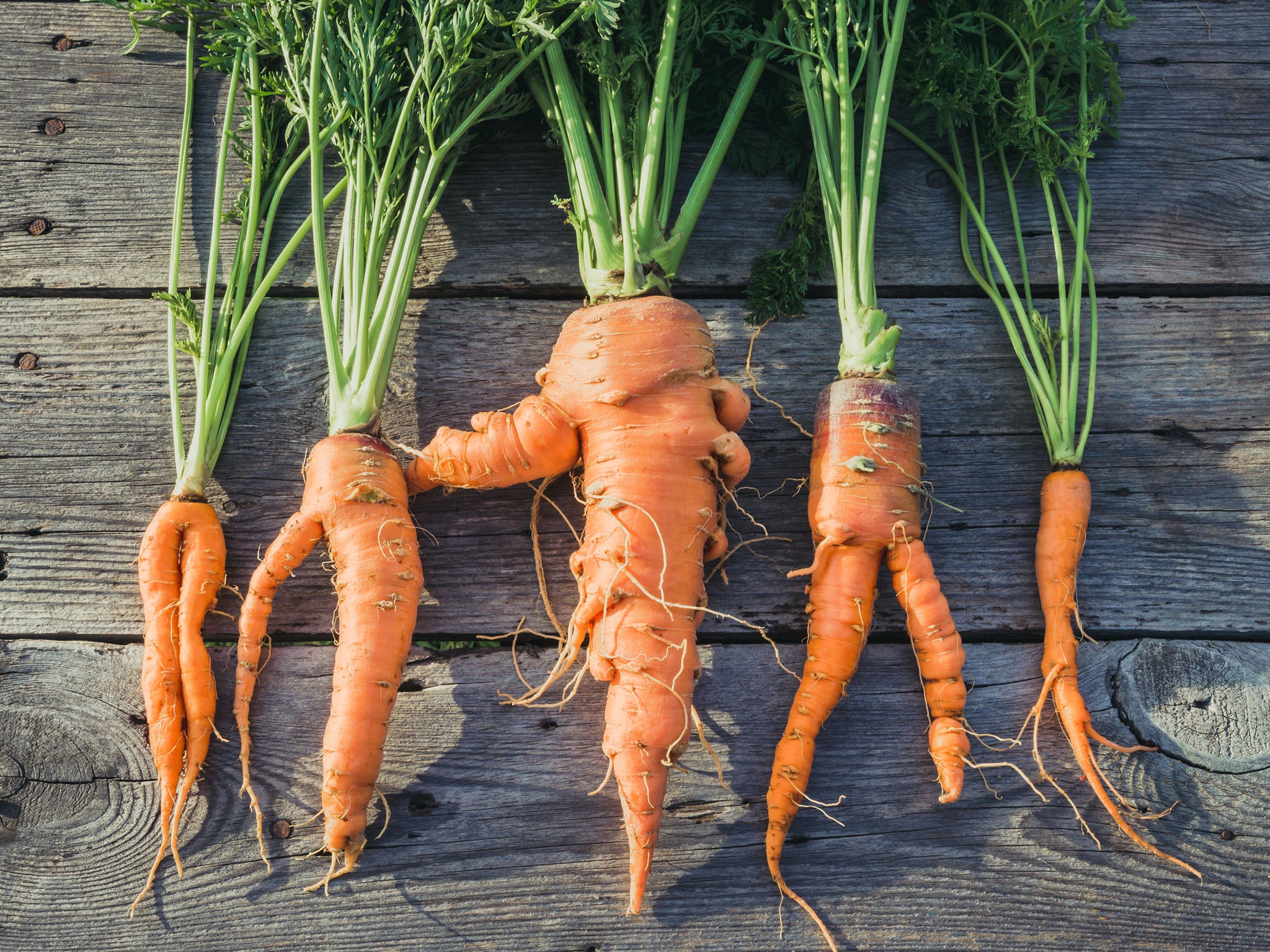 Sales of ‘wonky veg’ have risen in recent years