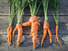 Ugly vegetables are a major cause of food waste
