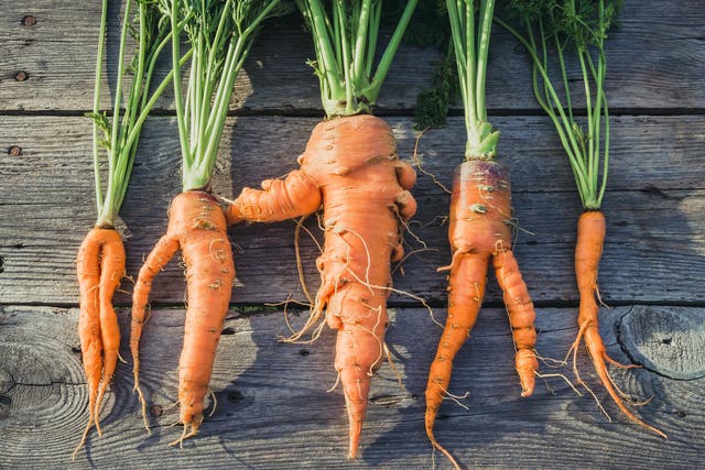 Sales of ‘wonky veg’ have risen in recent years
