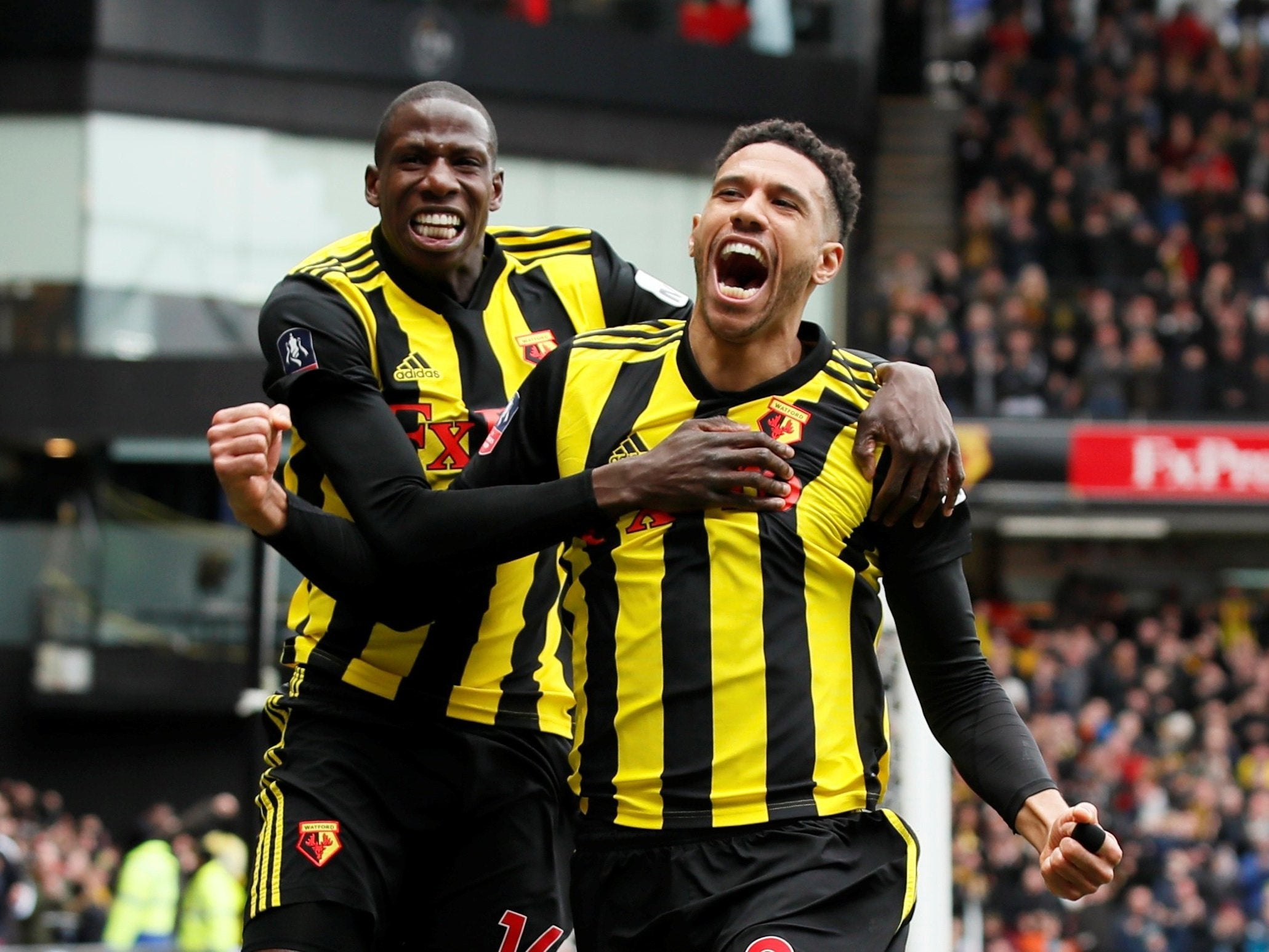 Capoue opened the scoring for the Hornets