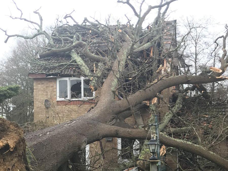 The oak tree fell through the roof and into the first floor of a house in Bewbush, near Crawley