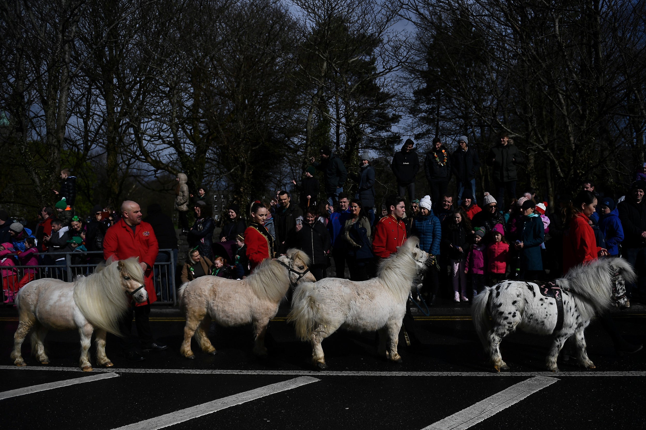Participants walk miniature ponies during the St. Patrick's Day parade in Galway, Ireland