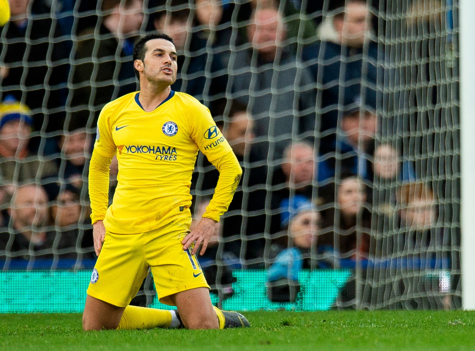 Pedro reacts after squandering a chance in front of goal