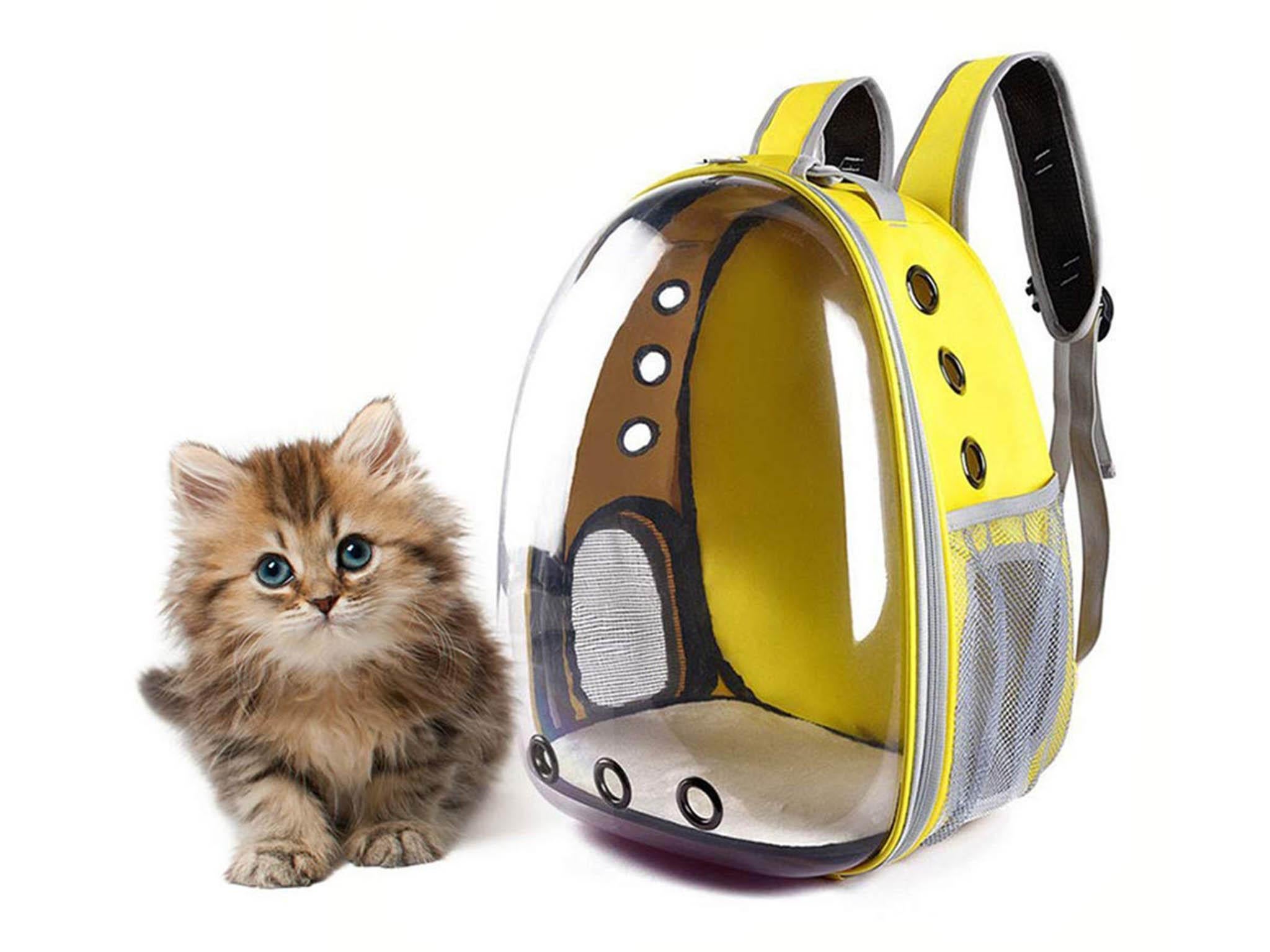 cool cat carrier