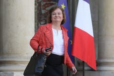 French EU minister names cat 'Brexit' because of its indecisive nature