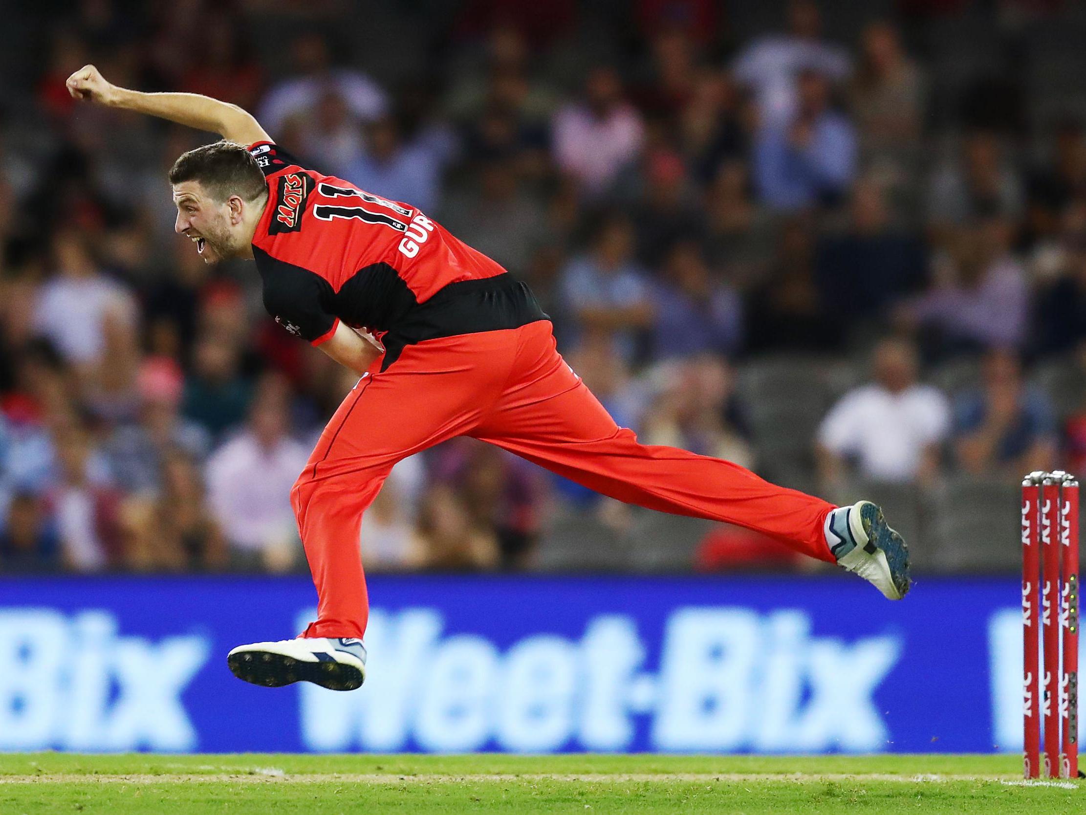 Harry Gurney in action for the Renegades during a Big Bash League match against Sydney Thunder