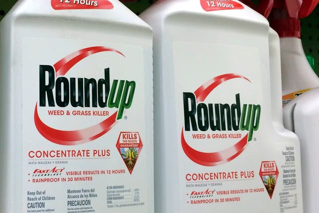Roundup weed killer photographed on a shelf at a Los Angeles hardware store