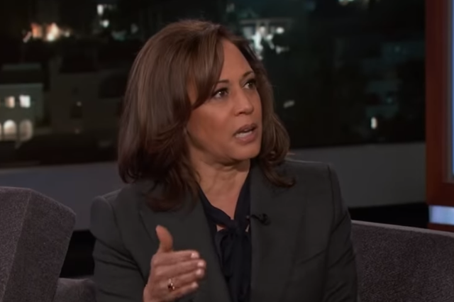 Kamala Harris vowed to 'prosecute the case' against Donald Trump on her campaign trail