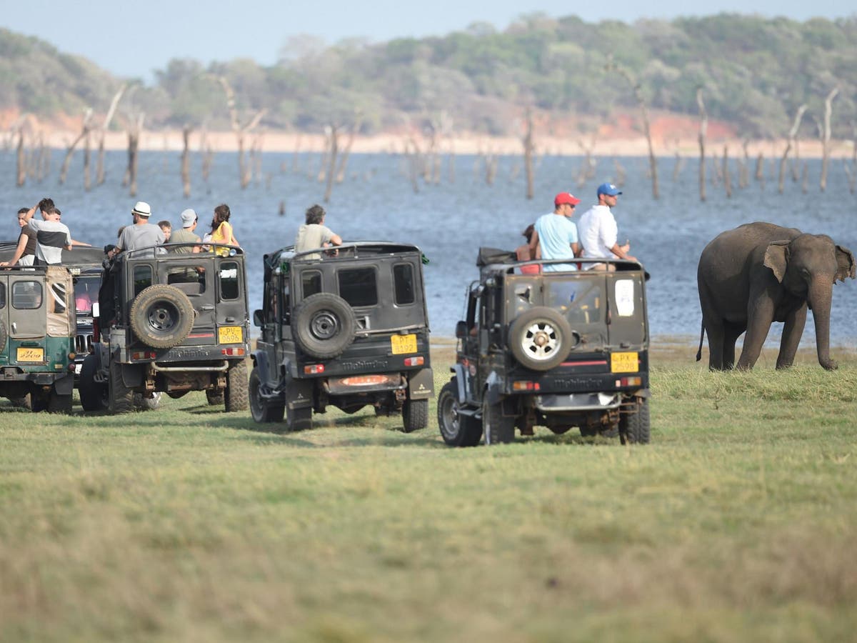 With Safari Tourism on Hold, Locals and Animals Are at Risk