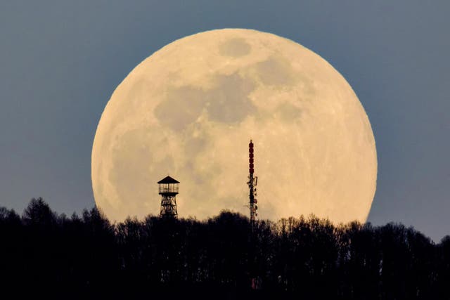Blue Moon 2019 Rare Flower Full Moon Tonight Will Last Of Its Kind This Decade The Independent The Independent