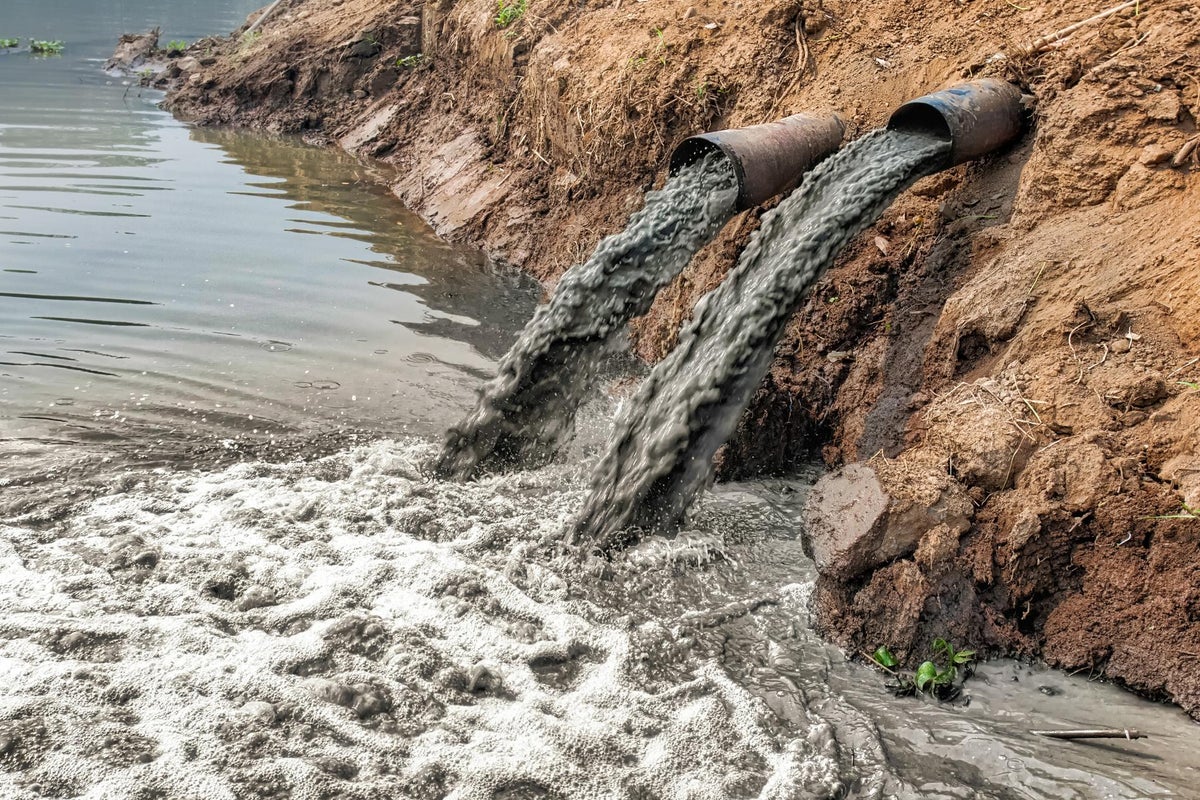 World Water Day 2019: What are the biggest water problems facing the ...