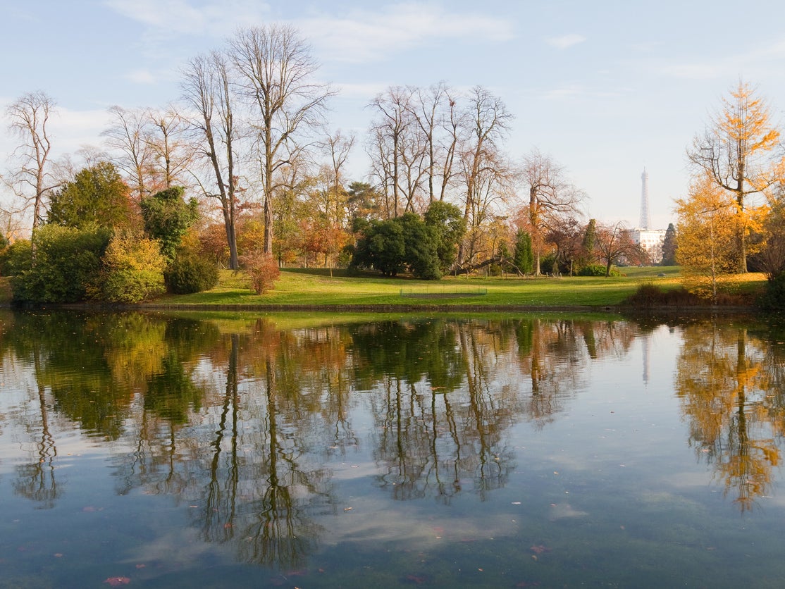 Stroll 30 minutes from the Arc de Triomphe to get to the Bois de Boulogne