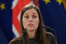 Norway-style Brexit may not be right for UK, says Icelandic PM
