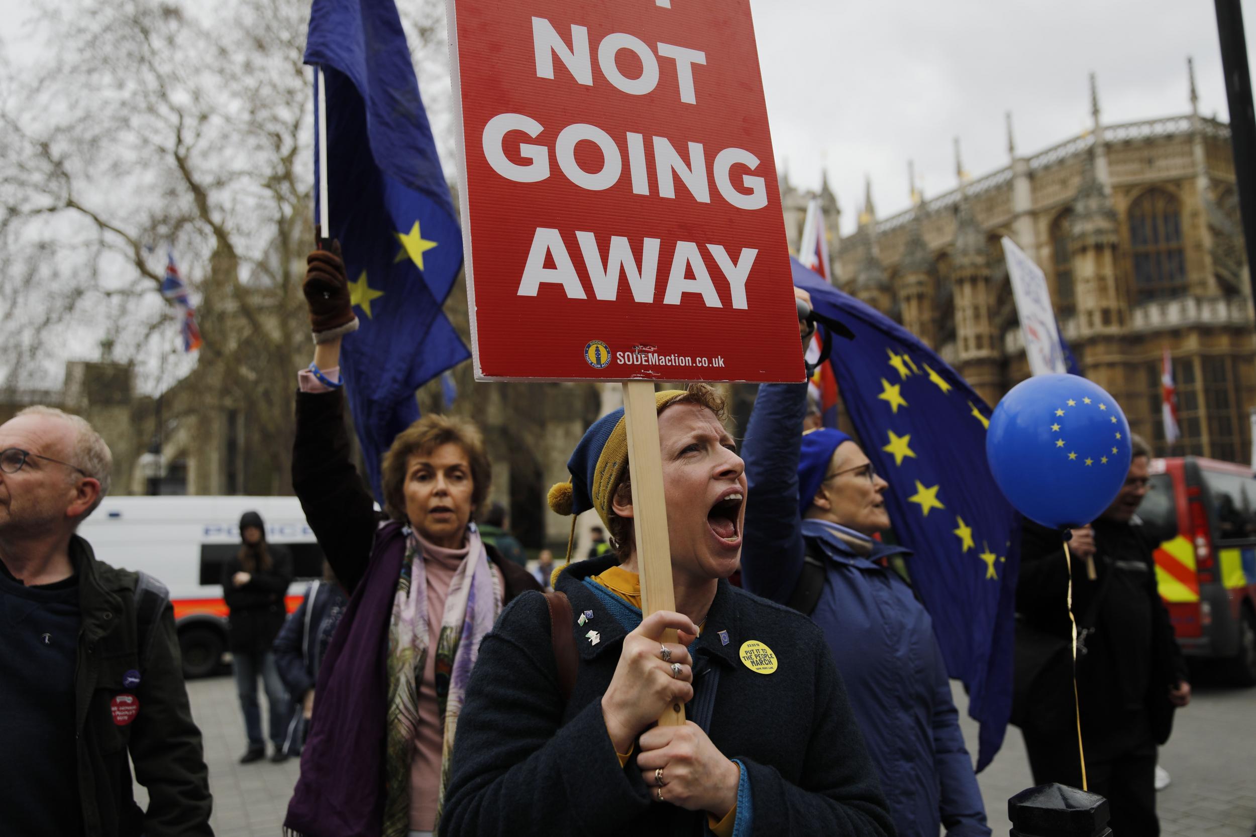 Pro-EU demonstrators outside parliament in central London at the weekend