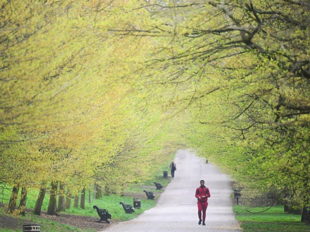 People stroll through Greenwich Park on a mild spring day in south London.