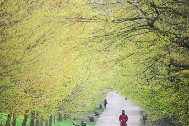 People stroll through Greenwich Park on a mild spring day in south London.
