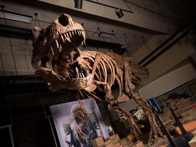 T-Rex - latest news, breaking stories and comment - The Independent