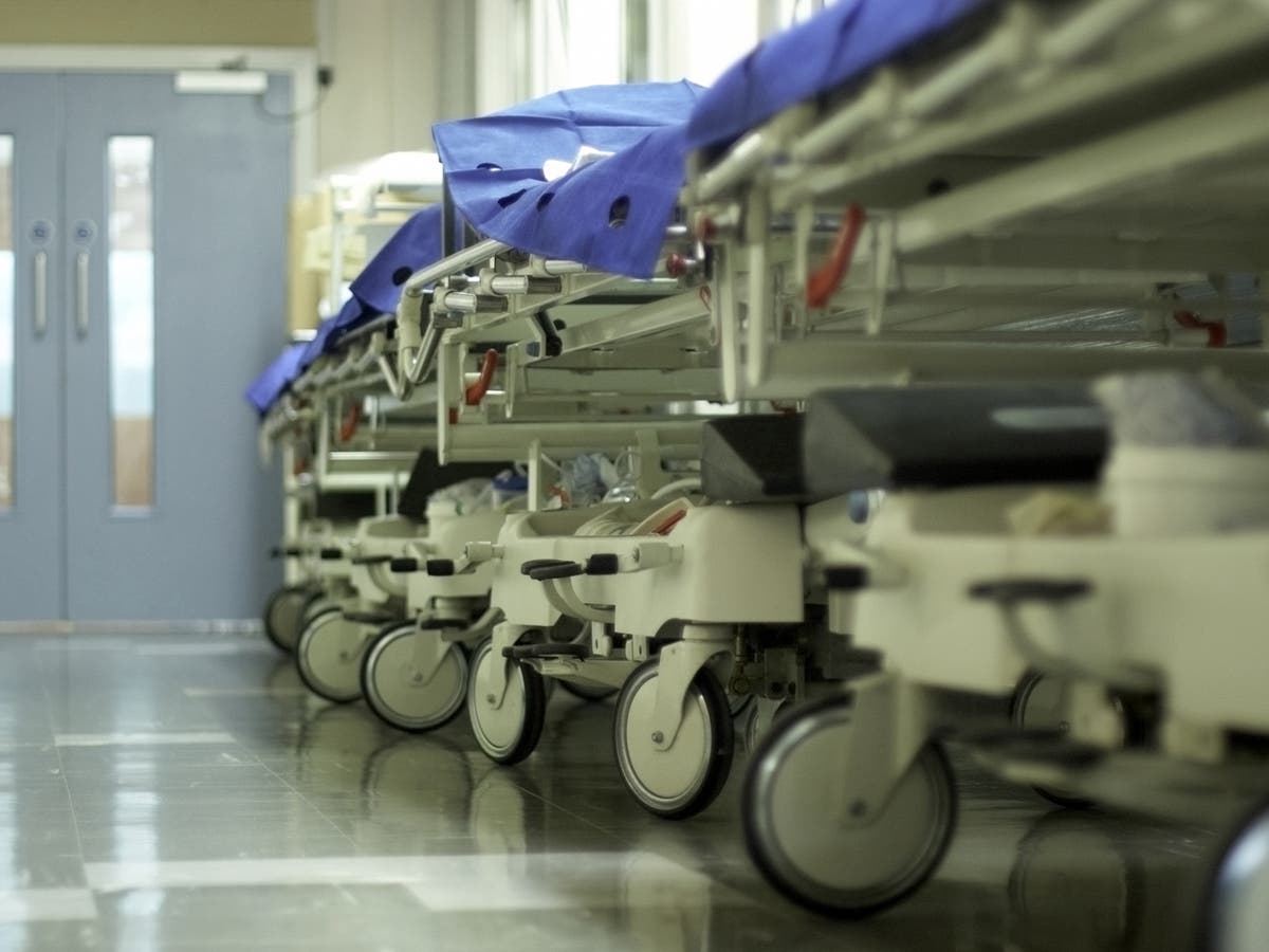 NHS hospitals forced to use emergency beds all year round to cope with demand, BMA warns