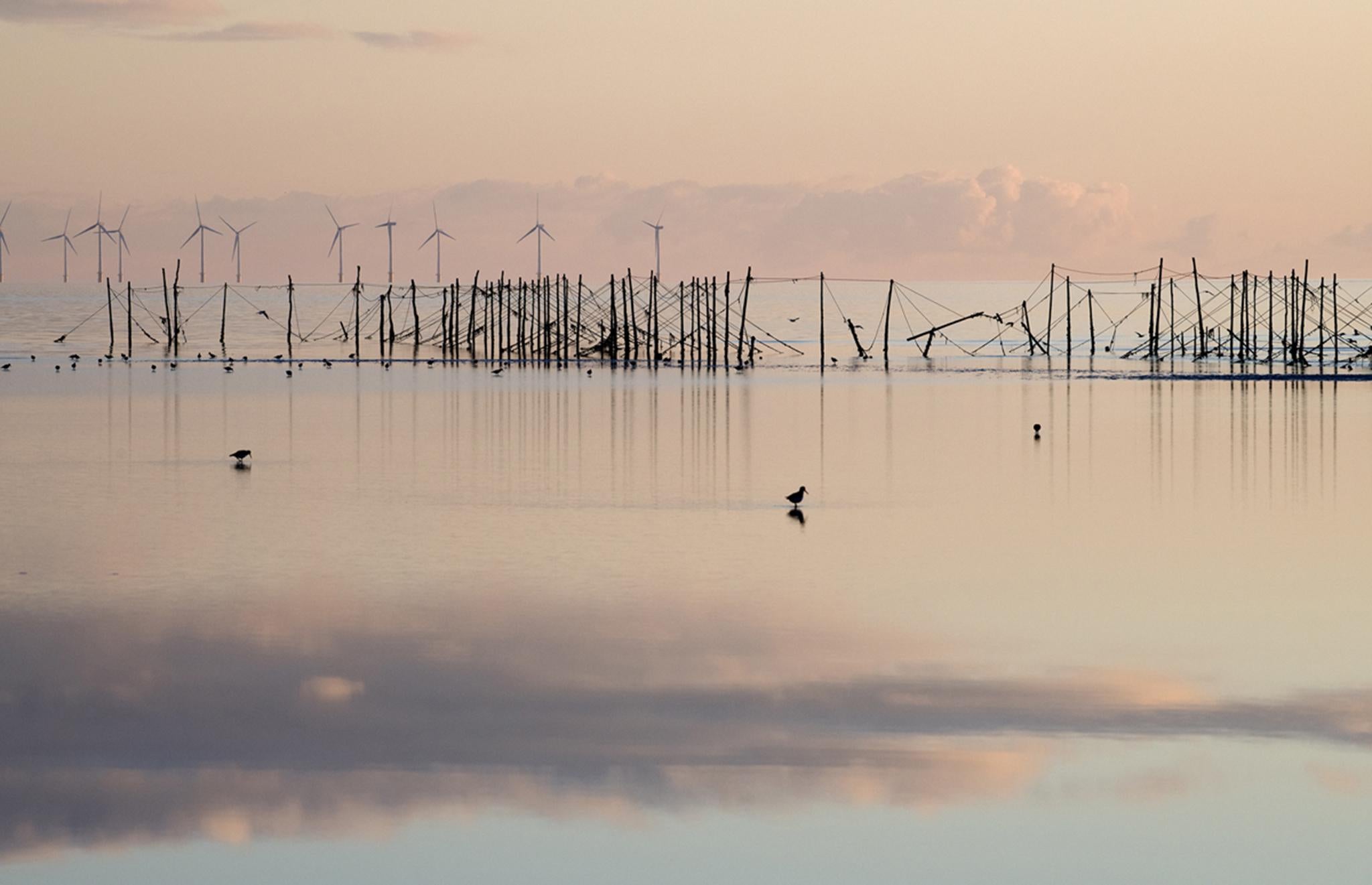 Winner of the Environmental category. Taken in Sandyhills Bay, Dumfries and Galloway