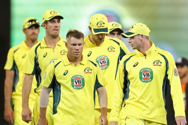 David Warner and Steve Smith are unlikely to return for Australia's ODI team