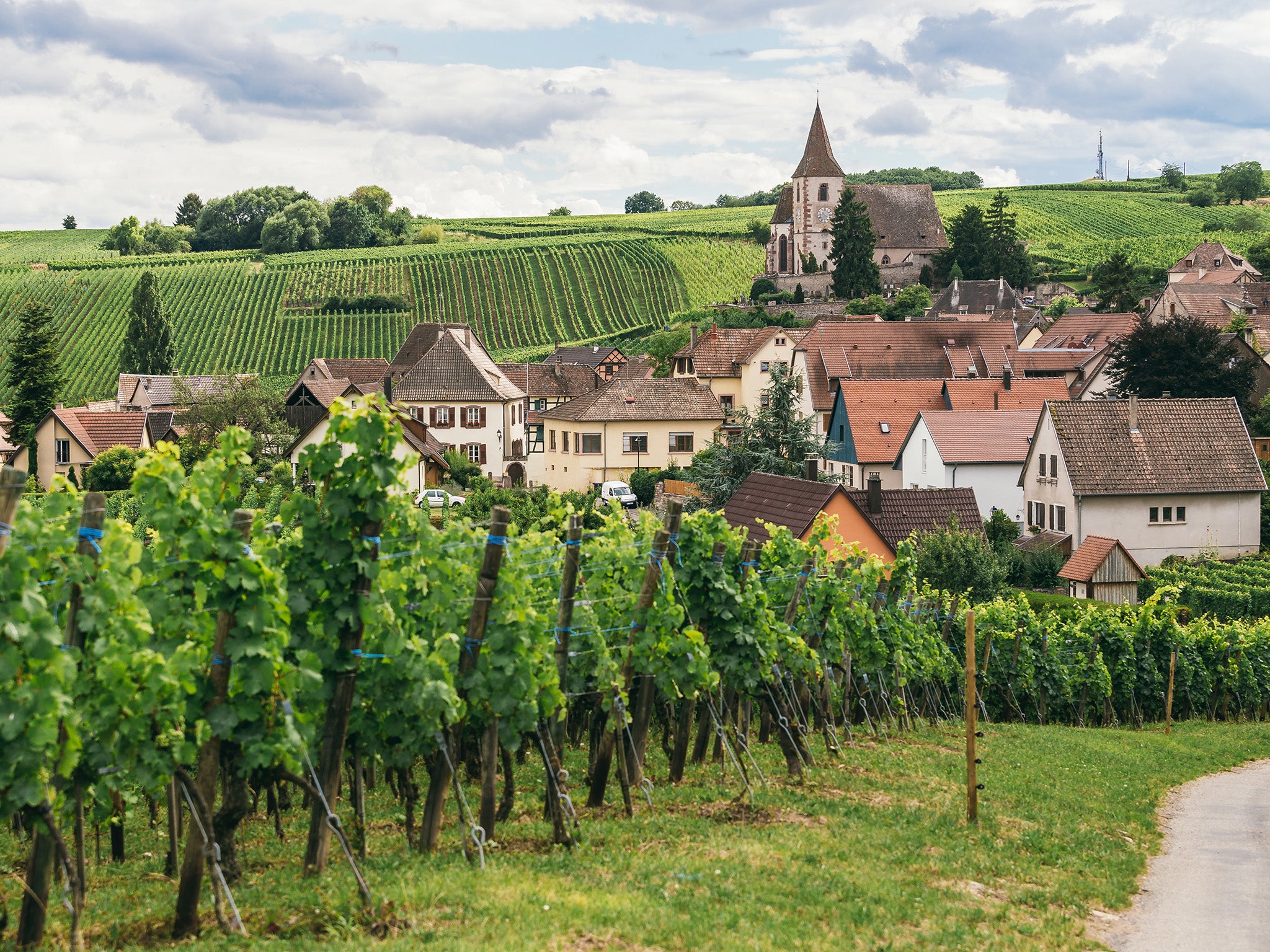 A Burgundy vineyard – just as seductive as it blokey Bordeaux rival (Getty/iStock)