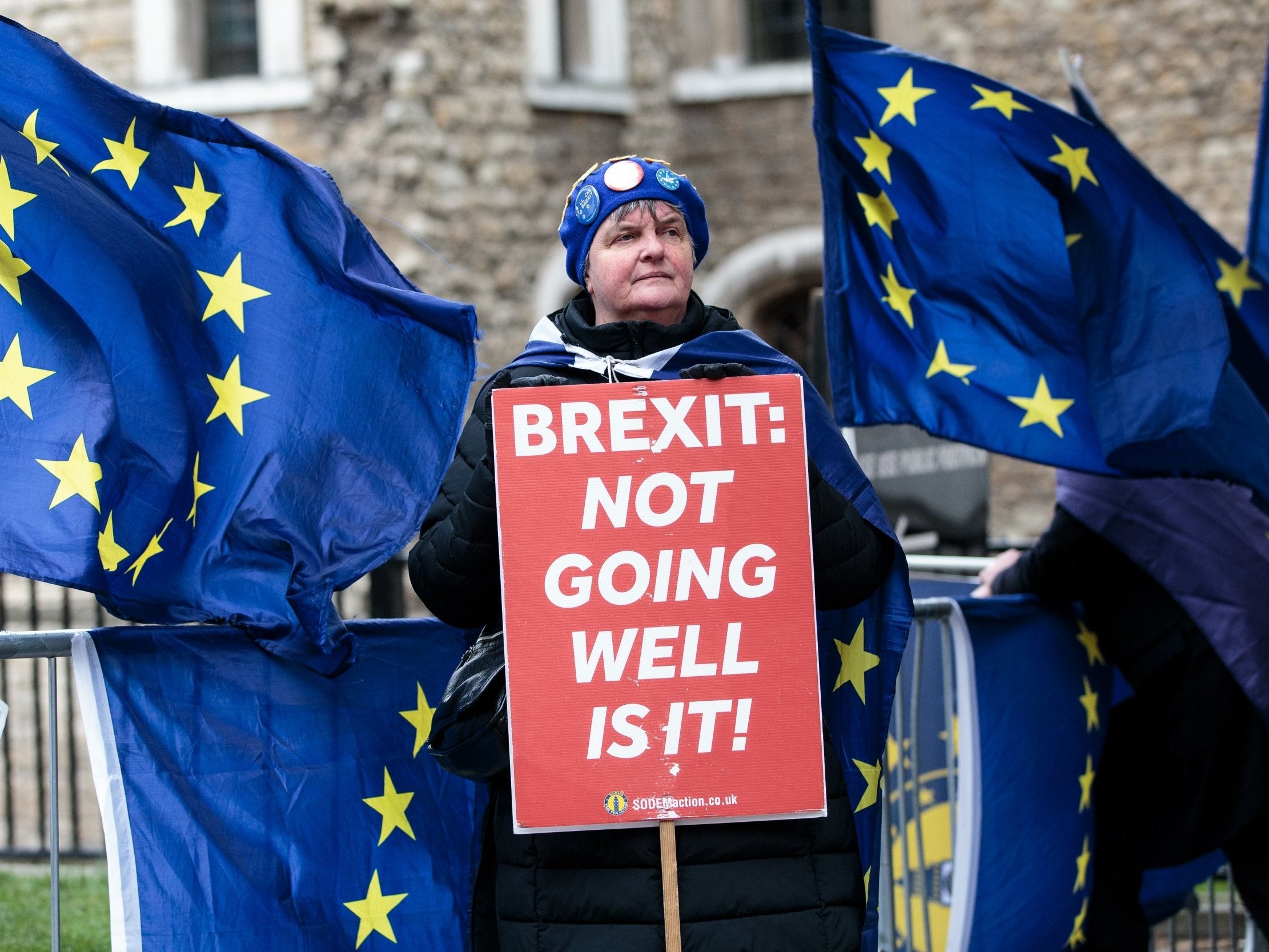 Remain activists have spent the day crowing at Brexiteers over Britain's failure to leave the EU