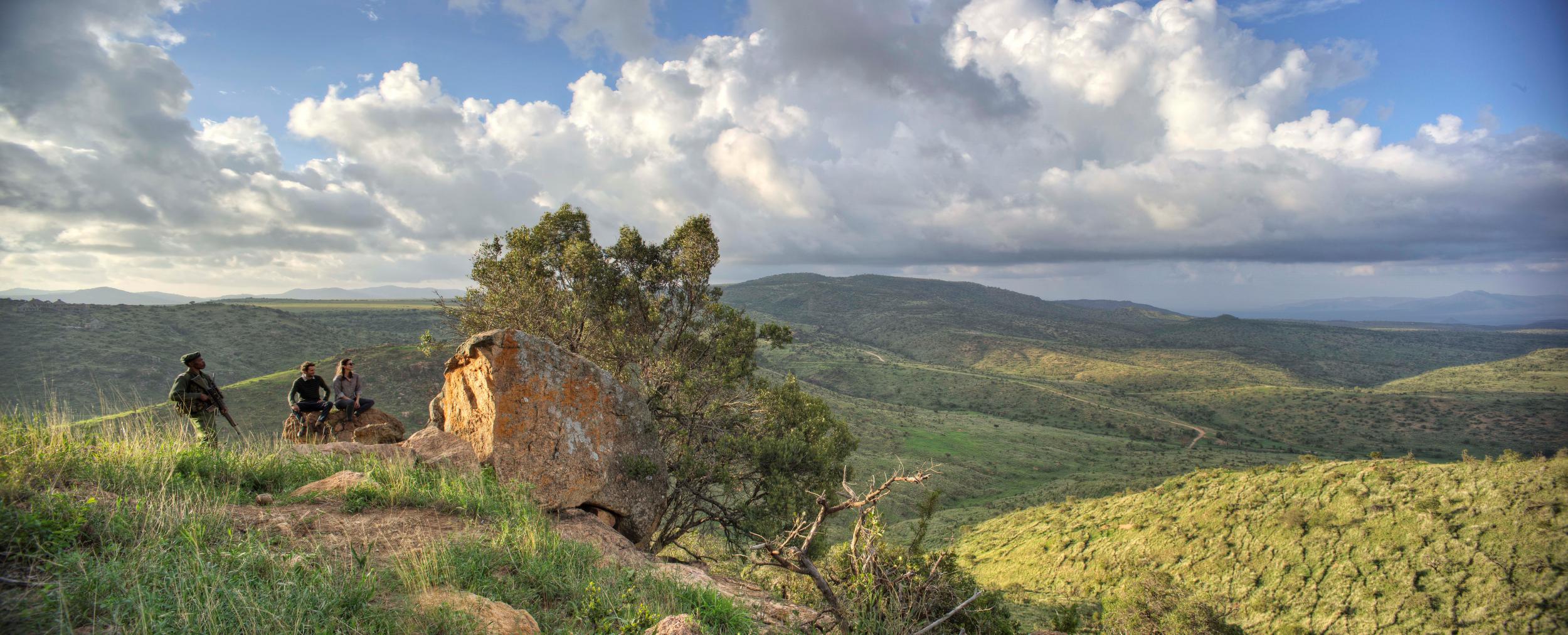 Enjoy the ultimate ‘Lion King’ experience at Borana Lodge