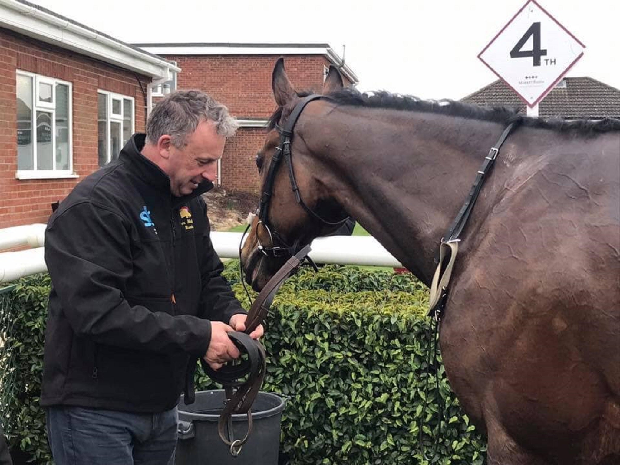 Racehorse Rockwood, who died after the horsebox he was travelling in was involved in a collision with a van in Lincolnshire.