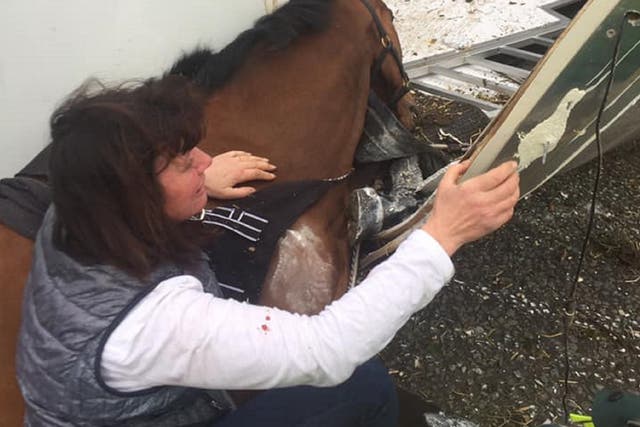 Racehorse Rockwood died in his trainer Karen McLintock's arms after the horsebox he was travelling in was involved in a collision with a van in Lincolnshire.