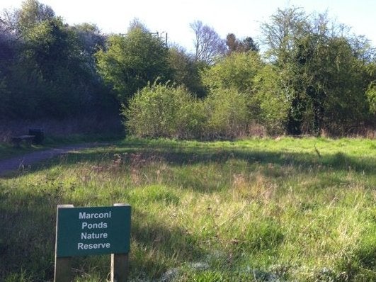 The attack took place near the Marconi Nature Reserve in Chelmsford at around 6pm on Monday.