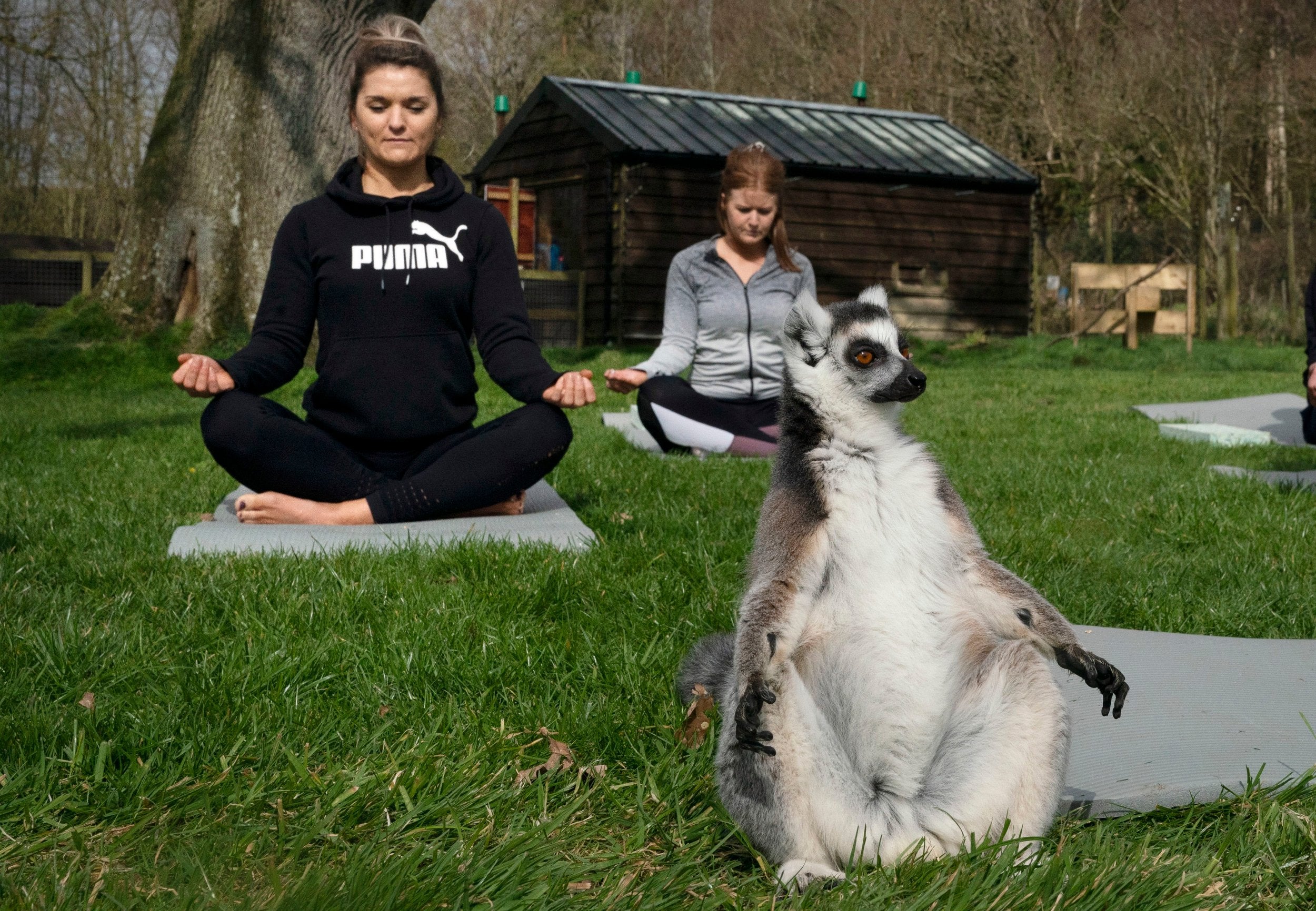 Armathwaite Hall hotel in Keswick holds Lemoga classes