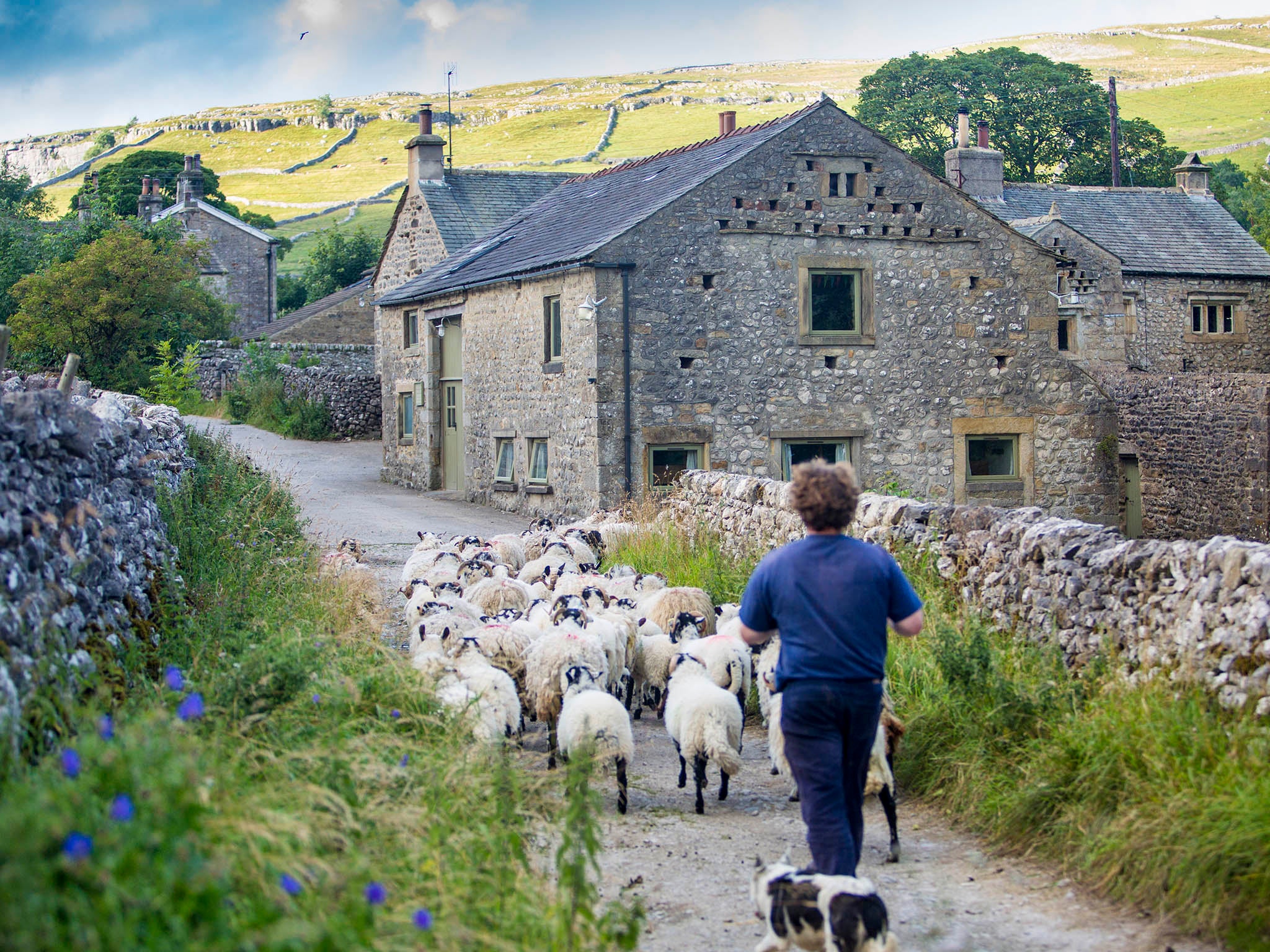 Hill Top Farm's meat is 100 per cent grass fed, doesn't use antibiotics and the bullocks are raised to four years old