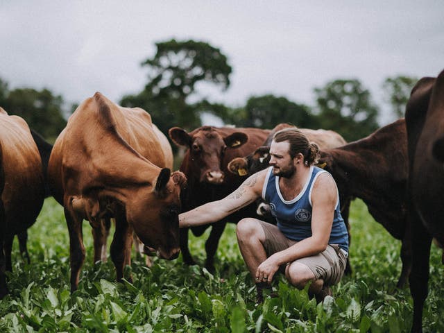   Sam Bullingham and Katie Bray own Taw River Dairy in Devon, where calves stay with their mums until they are a few months old