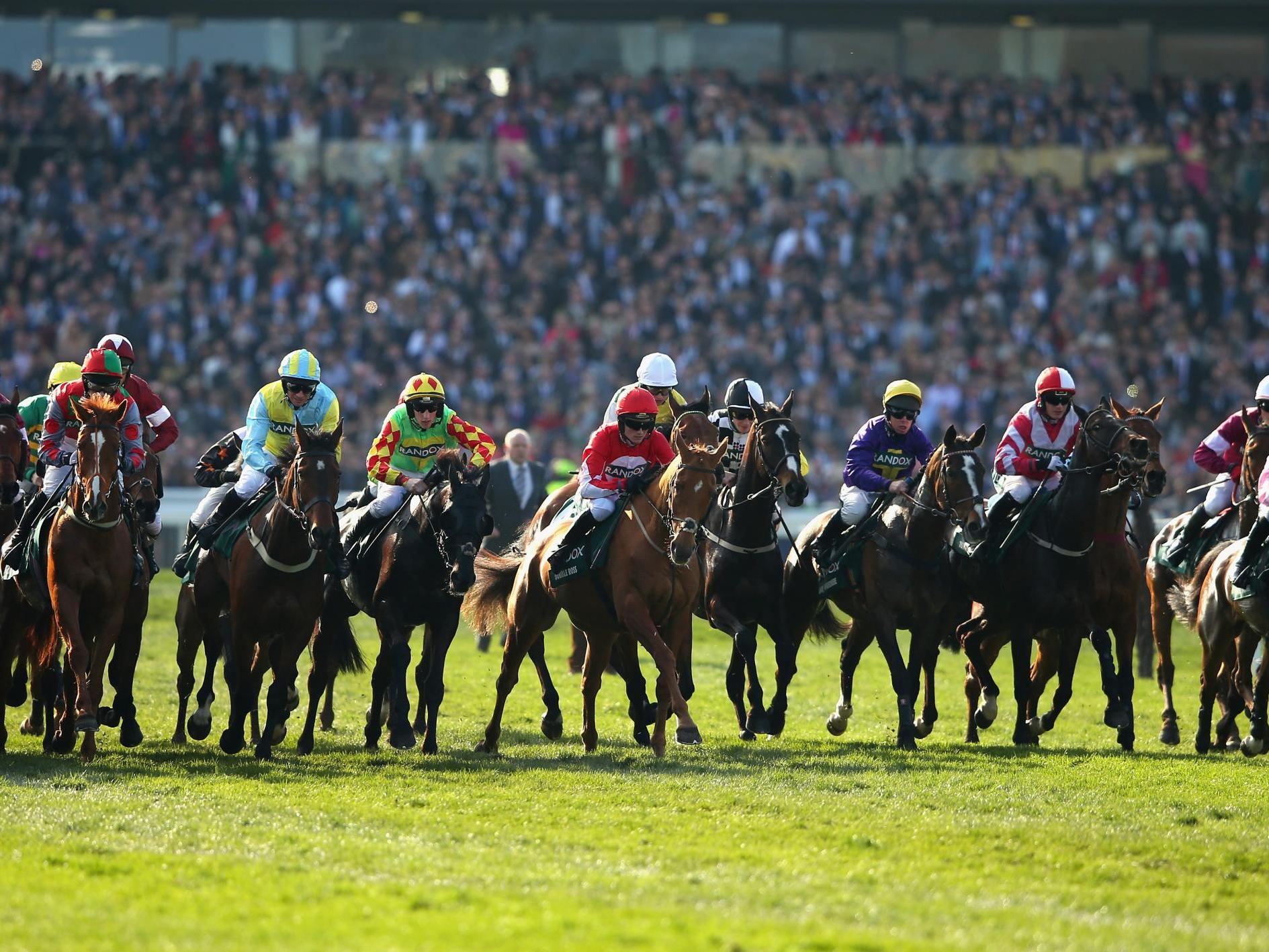 Sandymount Duke will not feature at the Grand National