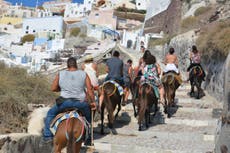 Reconsider that donkey ride in Santorini, tourists told