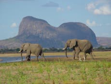 Urgent investment needed to save one of Africa’s large protected areas