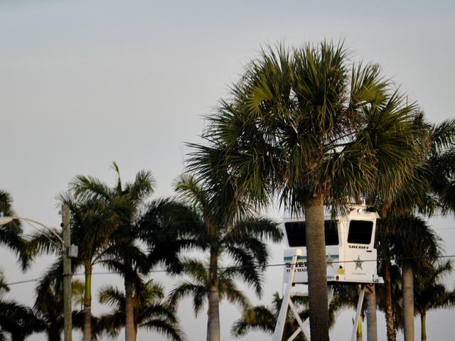A police lookout booth positioned among the palm trees along the perimeter of Mar-a-Lago in Palm Beach