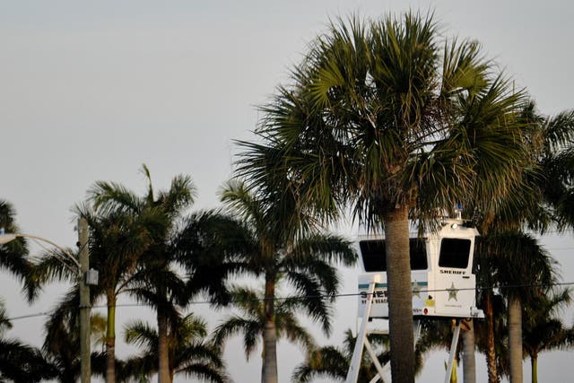 A police lookout booth positioned among the palm trees along the perimeter of Mar-a-Lago in Palm Beach
