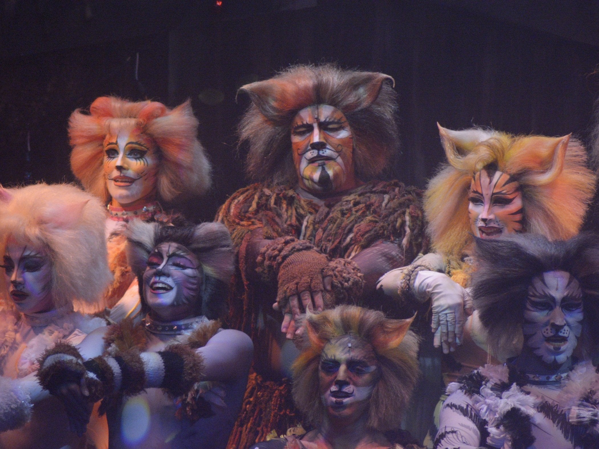 The cats in the Cats film adaptation will be the size of actual cats | The Independent | The ...