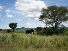 American woman kidnapped on safari in Uganda for $500,000 ransom