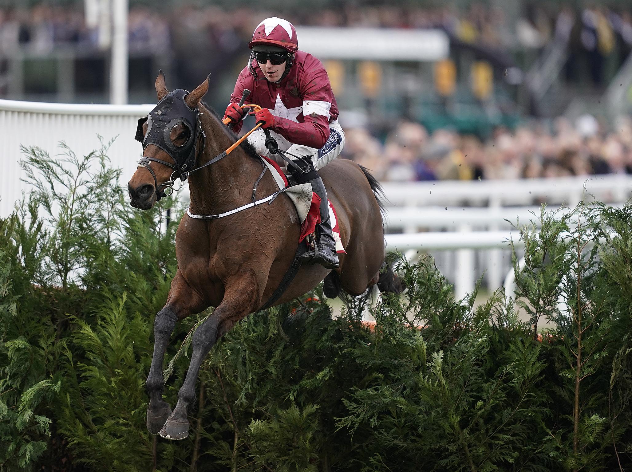Tiger Roll won a year ago