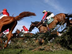 Mullins’ Up For Review dies at Grand National after falling at first